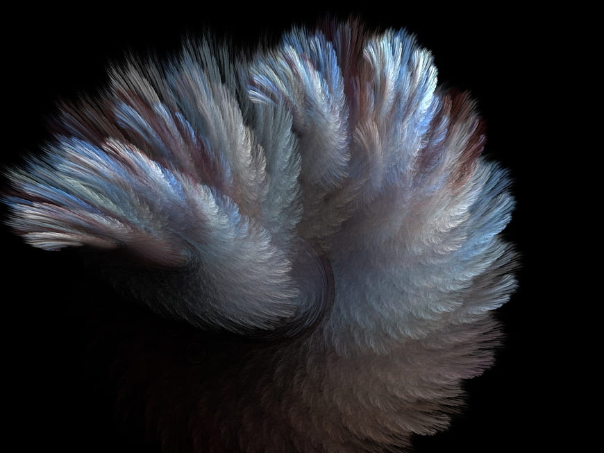 Abstract fractal art resembling blue and grey feathers
