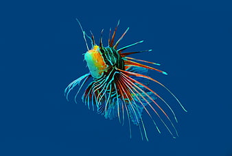 Vibrant Lionfish Swimming in Deep Blue Ocean Water