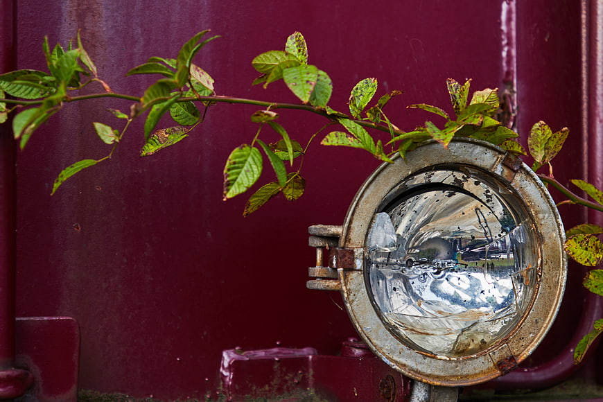 Rusty train headlight with green vine leaves against maroon background