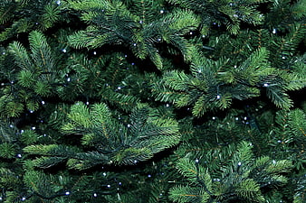 Close-up of artificial Christmas tree branches with white lights