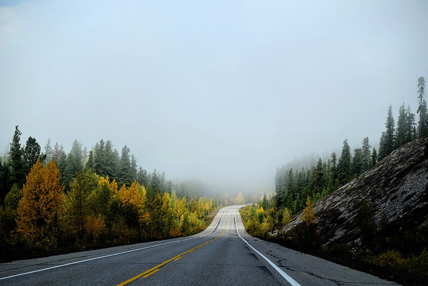 Foggy autumn road winding through yellow and green forest