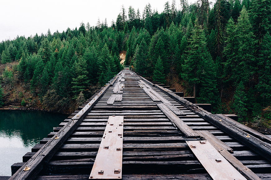 Old wooden bridge leading into dense evergreen forest