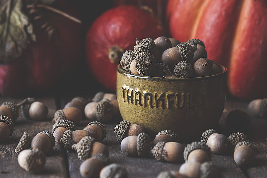 Rustic Thanksgiving Bowl with Acorns and Pumpkins