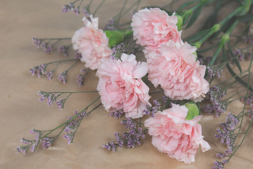 Pink Carnations and Purple Statice on Brown Paper