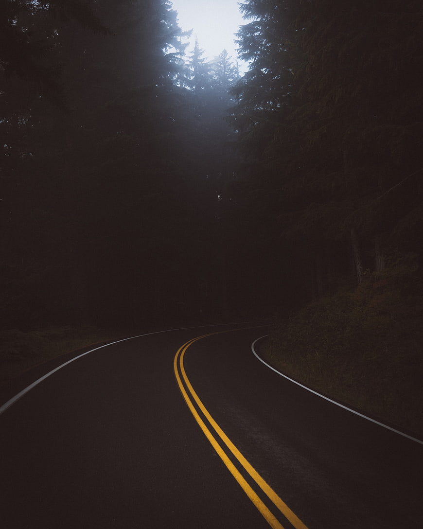 Misty Forest Road with Yellow Lines