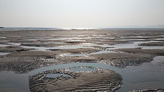 Wide tidal flats with rippled sand patterns and distant ocean horizon