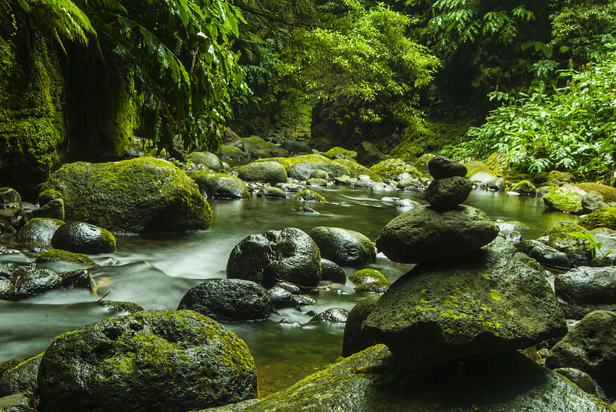 Stacked rocks in a serene mossy forest stream