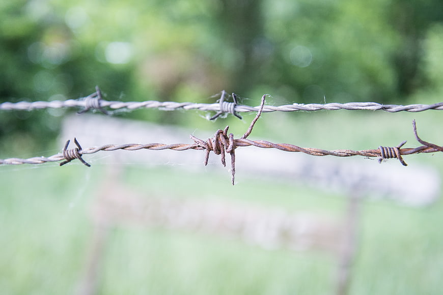 Close-up of rusty barbed wire fence against blurred green background