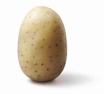 Single raw potato on white background