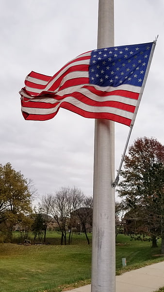 American Flag Waving on Pole in Suburban Park