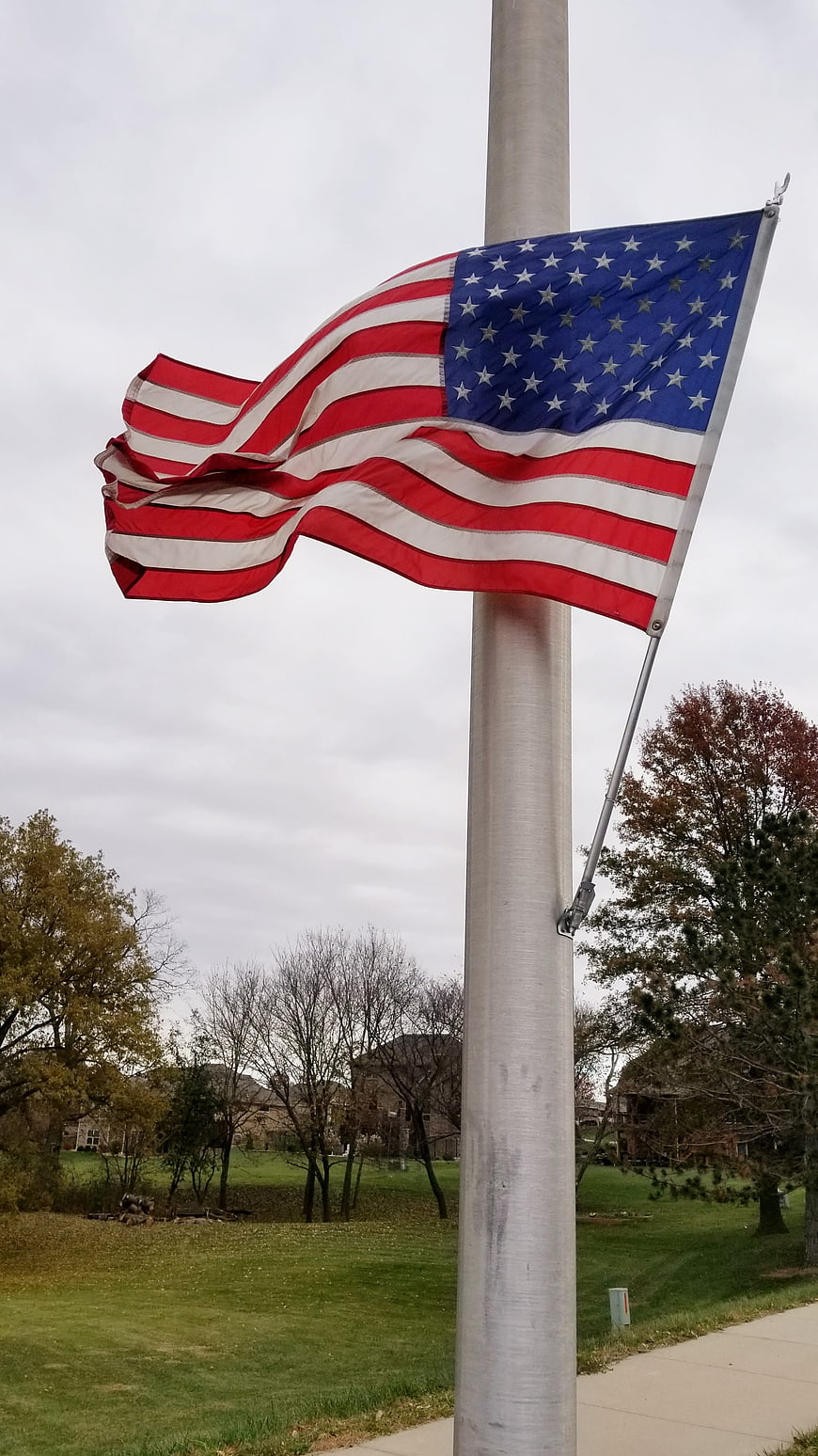 American Flag Waving on Pole in Suburban Park