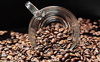 Roasted coffee beans spilling from a glass mug
