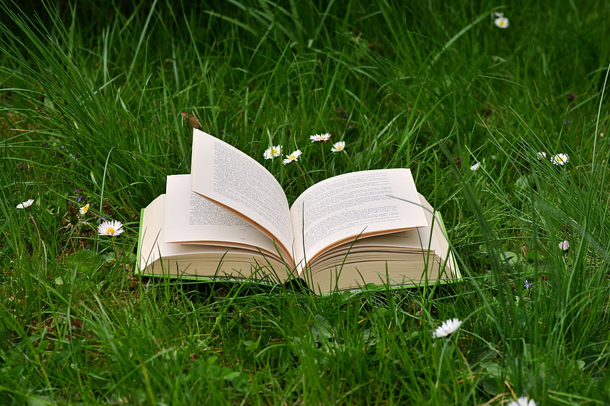 Open book lying in green grass with daisies