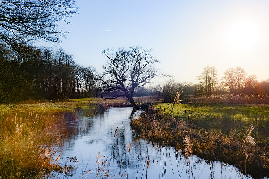 Serene River Landscape with Solitary Tree at Sunset