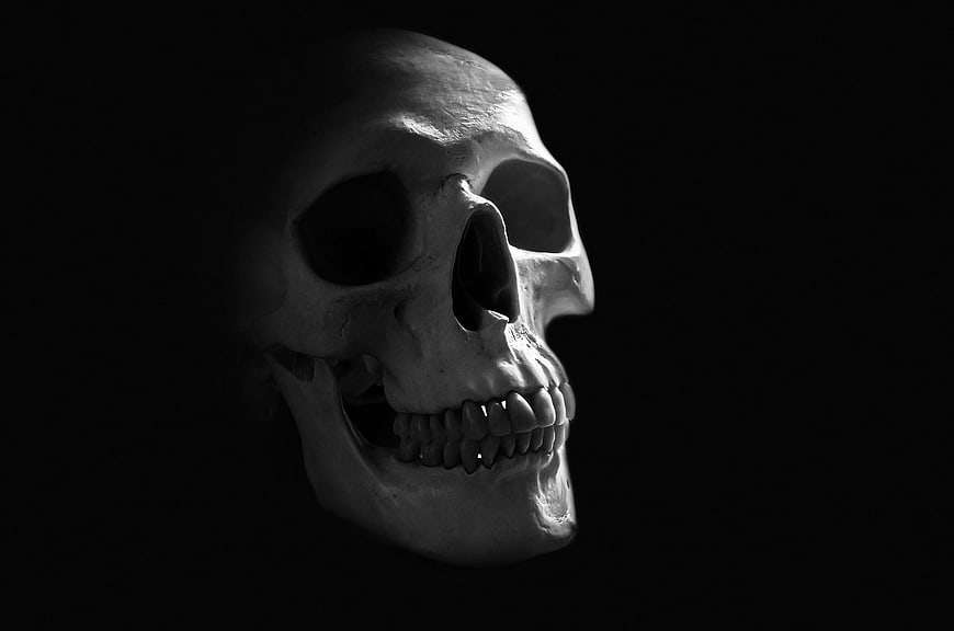 Dramatic Black and White Skull Profile on Dark Background