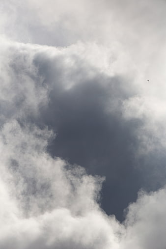 Dramatic Dark Clouds with Bird Silhouette in Sky