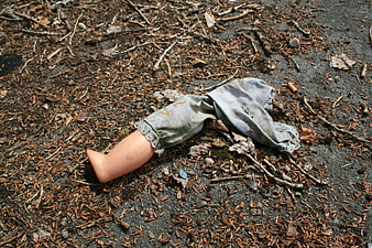 Broken doll leg lying on forest floor with twigs
