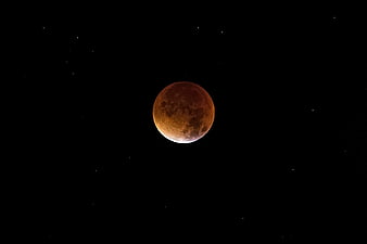 Blood Moon Lunar Eclipse in Night Sky