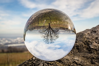 Glass Sphere Reflection of Tree and Landscape on Rock