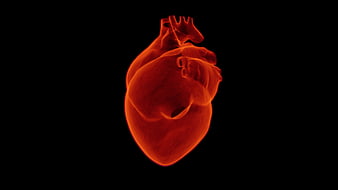 Glowing 3D Human Heart on Black Background