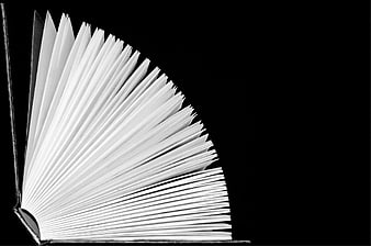 Open Book with Fanned Pages on Black Background