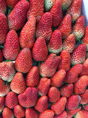 Close-up of fresh ripe red strawberries filling the frame