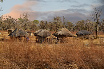 Traditional African village with thatched huts in dry savanna