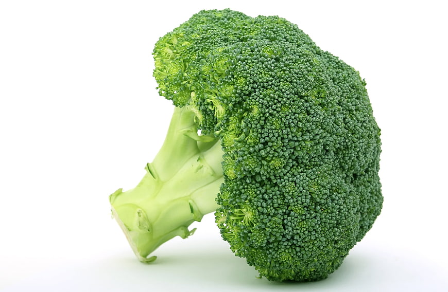 Fresh Green Broccoli Head Isolated on White Background