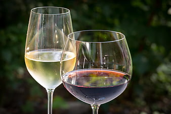 White and Red Wine Glasses Against Blurred Green Garden Background