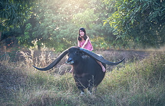 Young woman riding a water buffalo in a lush green meadow