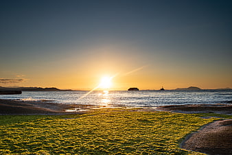 Golden Sunset Over Seaweed Covered Beach with Distant Boats