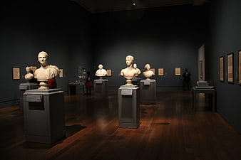 Classical Marble Busts in Museum Gallery