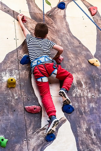 Young boy climbing on an indoor rock wall with safety harness