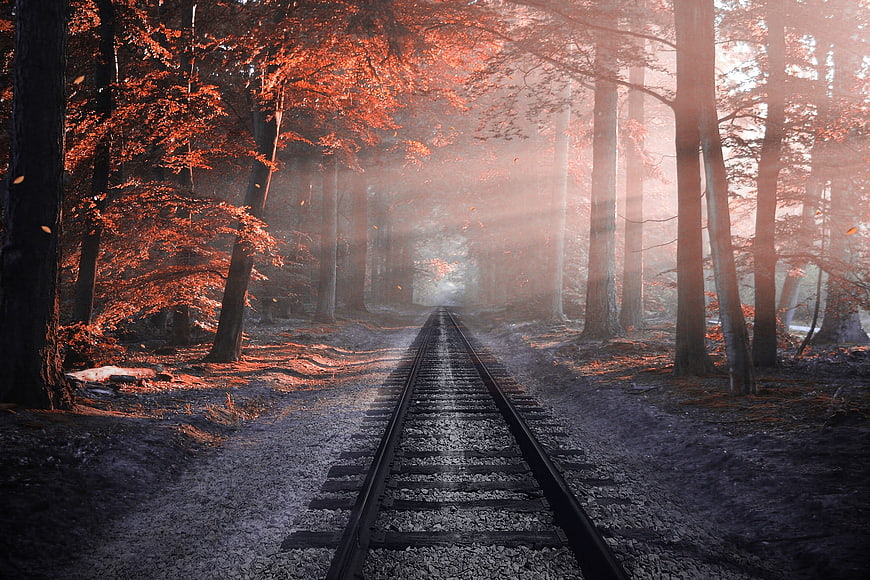 Misty Autumn Forest Railway Tracks with Sunbeams