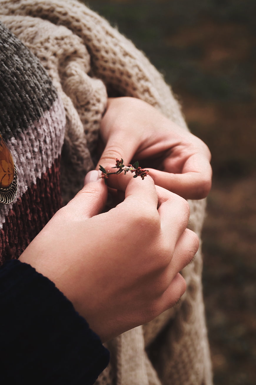 Close-up of hands holding small red flowers in knitted sweater