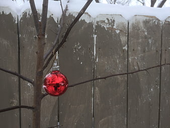 Lone Red Christmas Ornament on Snowy Branch
