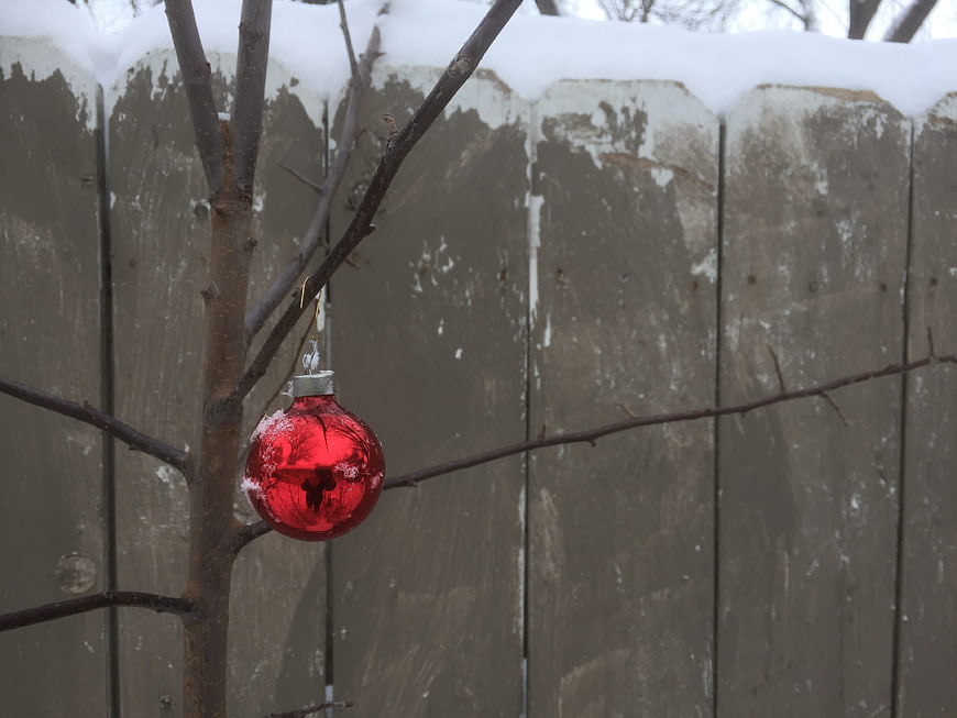 Lone Red Christmas Ornament on Snowy Branch