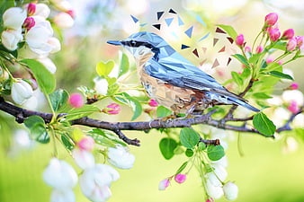 Low Poly Bluebird on Blossoming Spring Branch