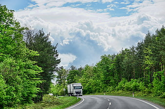 White truck driving on winding road through green forest