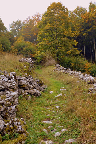 Autumn trail through ancient stone ruins in Italian forest