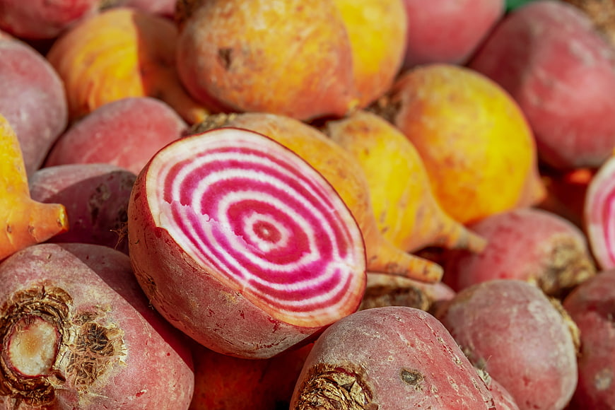 Close-up of sliced rainbow beets with vibrant pink and yellow rings