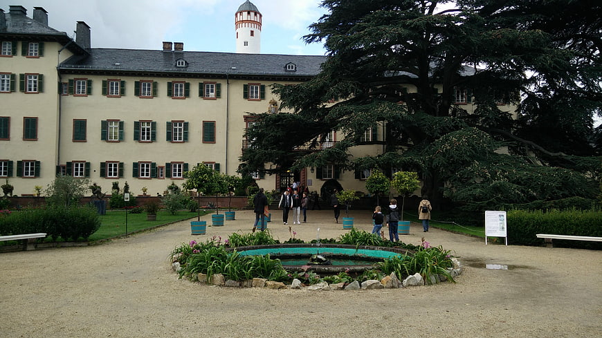 Historic Castle Courtyard with Fountain and Visitors