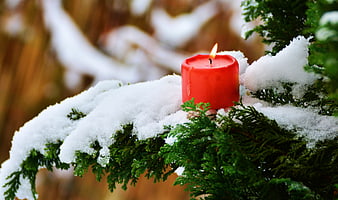 Red Candle Burning on Snowy Evergreen Branch