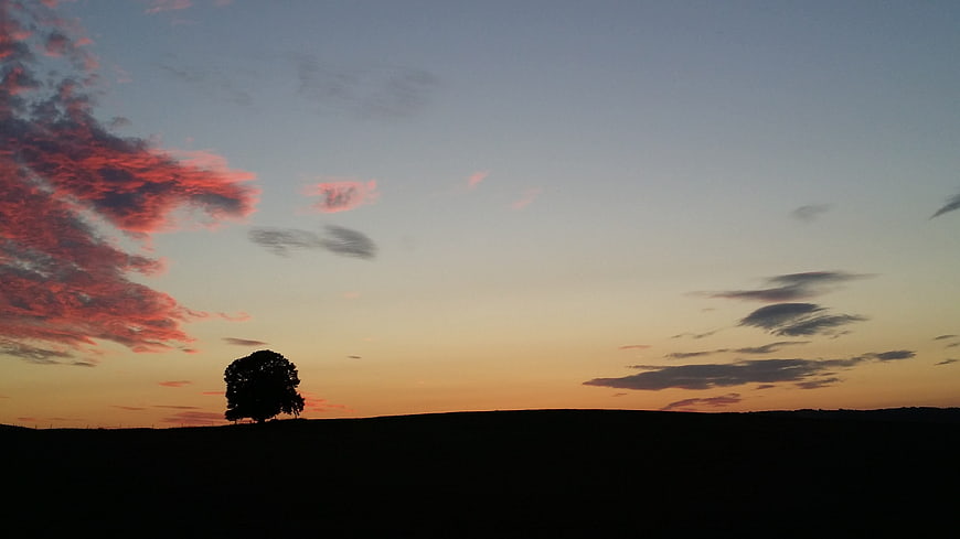 Silhouette of a lone tree against a vibrant sunset sky