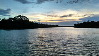 Serene River Sunset with Silhouetted Trees and Cloudy Sky