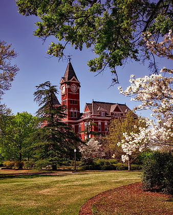 Red brick clock tower building surrounded by spring trees