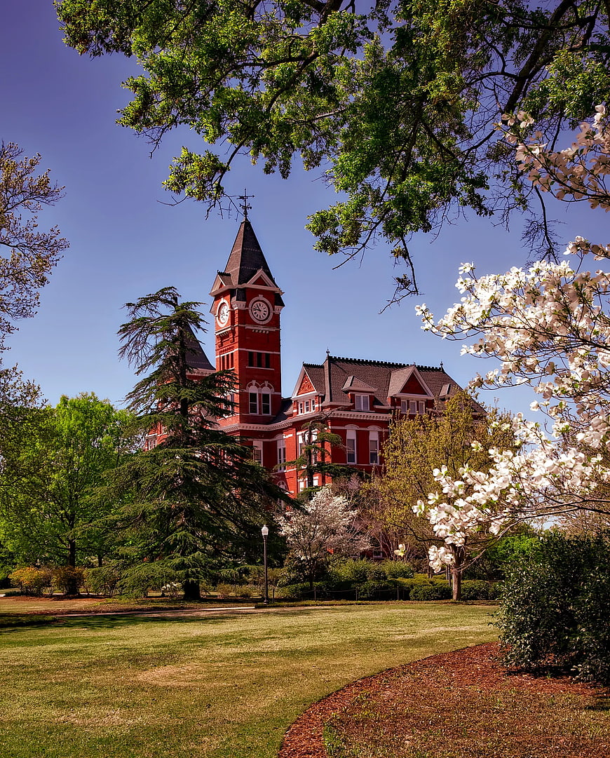 Red brick clock tower building surrounded by spring trees
