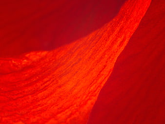 Vibrant Red Abstract Texture Background