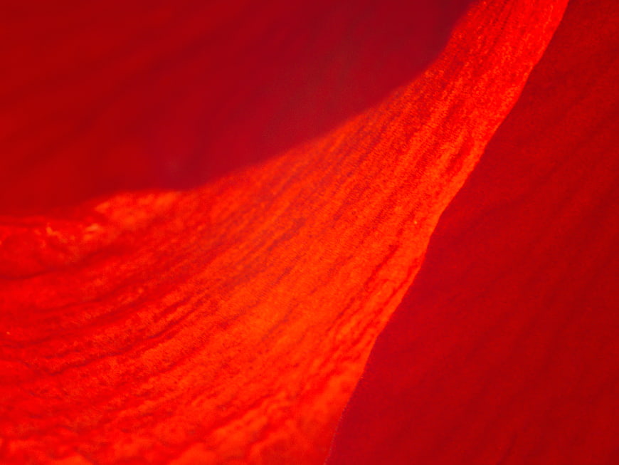 Vibrant Red Abstract Texture Background