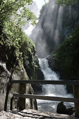 Majestic waterfall cascading through lush green forest canyon